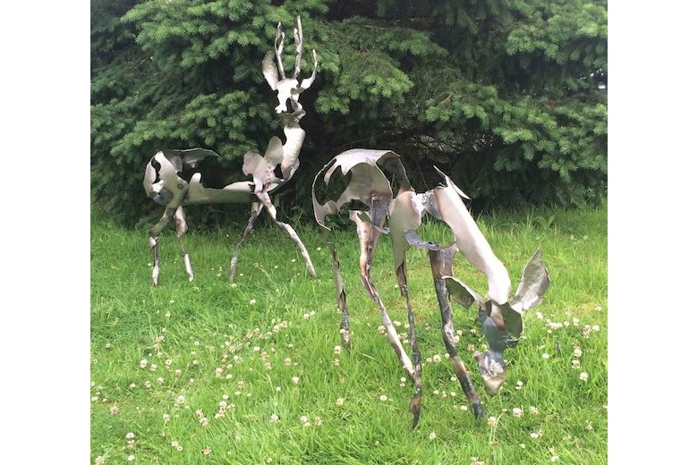 Roe Deer - Steel